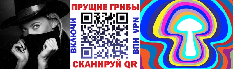 Галлюциногенные грибы Psilocybine cubensis  Динская 